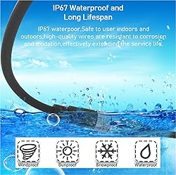 M12 12 Pins Male Connector Cables, Waterproof IP67