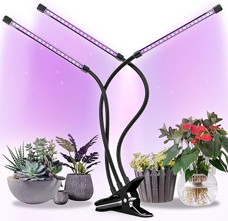 panepisthmio makedonias