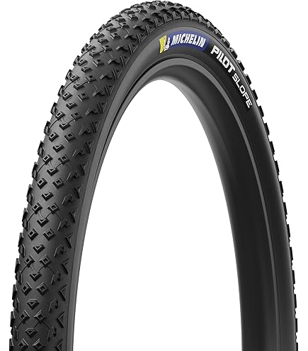 Amazon.com : MICHELIN Pilot Pump Bike TIRE : Sports & Outdoors