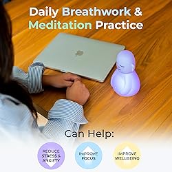 Mindsight 'Breathing Buddha' Guided Visual