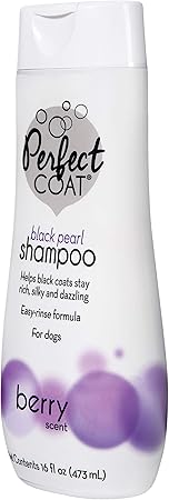 black pearl dog shampoo