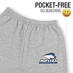 LOGOVISION Hofstra University Primary Logo Mens