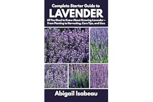 Complete Starter Guide to Lavender: All You Need to Know About Growing Lavender – From Planting to Harvesting, Care Tips, and