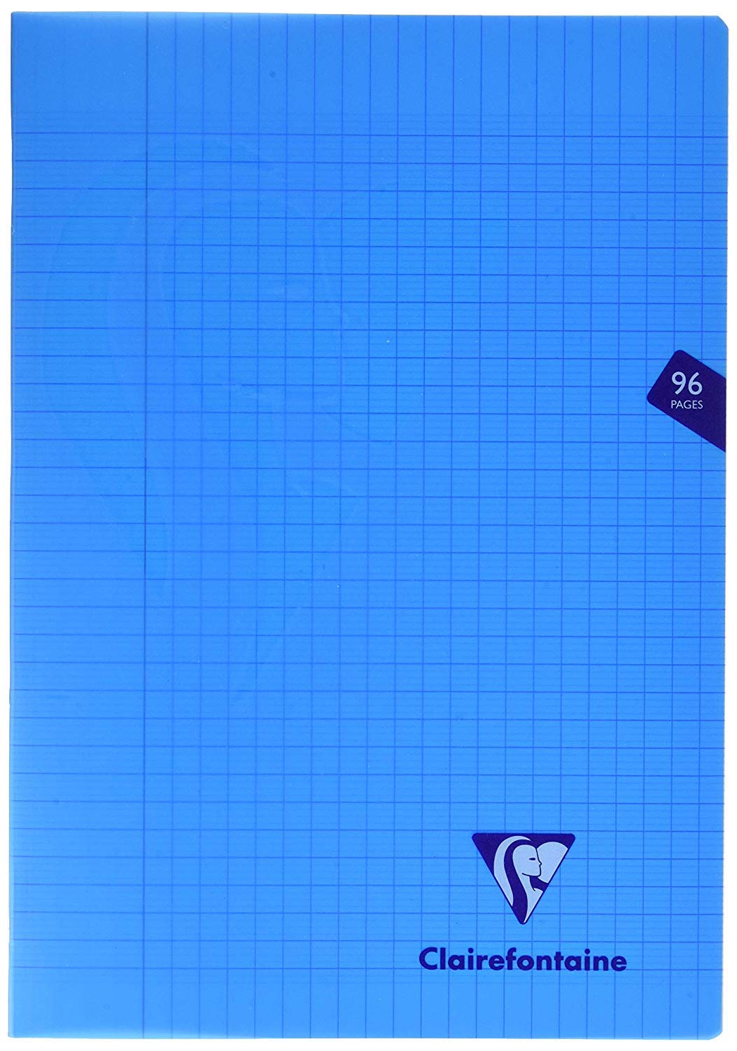 Clairefontaine 293161AMZ - Set of 2 Mimesys Stapled Notebooks - A4 21 x 29.7 cm - 96 Large Square Pages - White Paper 90 g - Polypro Cover Random Colours