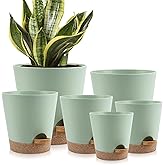 YNNICO Indoor Self Watering Planters with Drainage Holes and Saucers, 8, 7, 6.5, 6, 5.5, 5 Inches, 6 Pots(Green+Brown