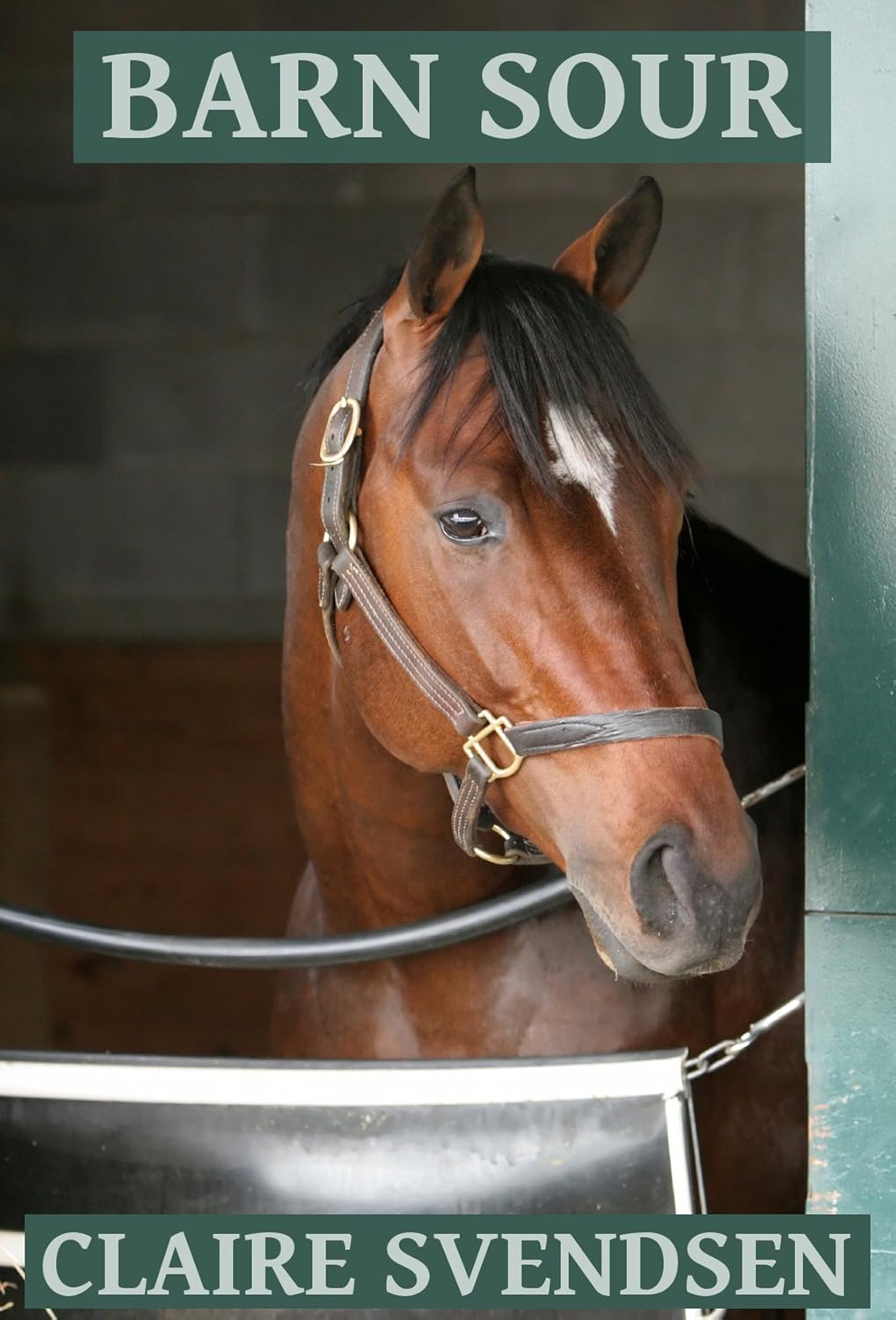 Barn Sour Show Jumping Dreams Book 26 Ebook Claire Svendsen