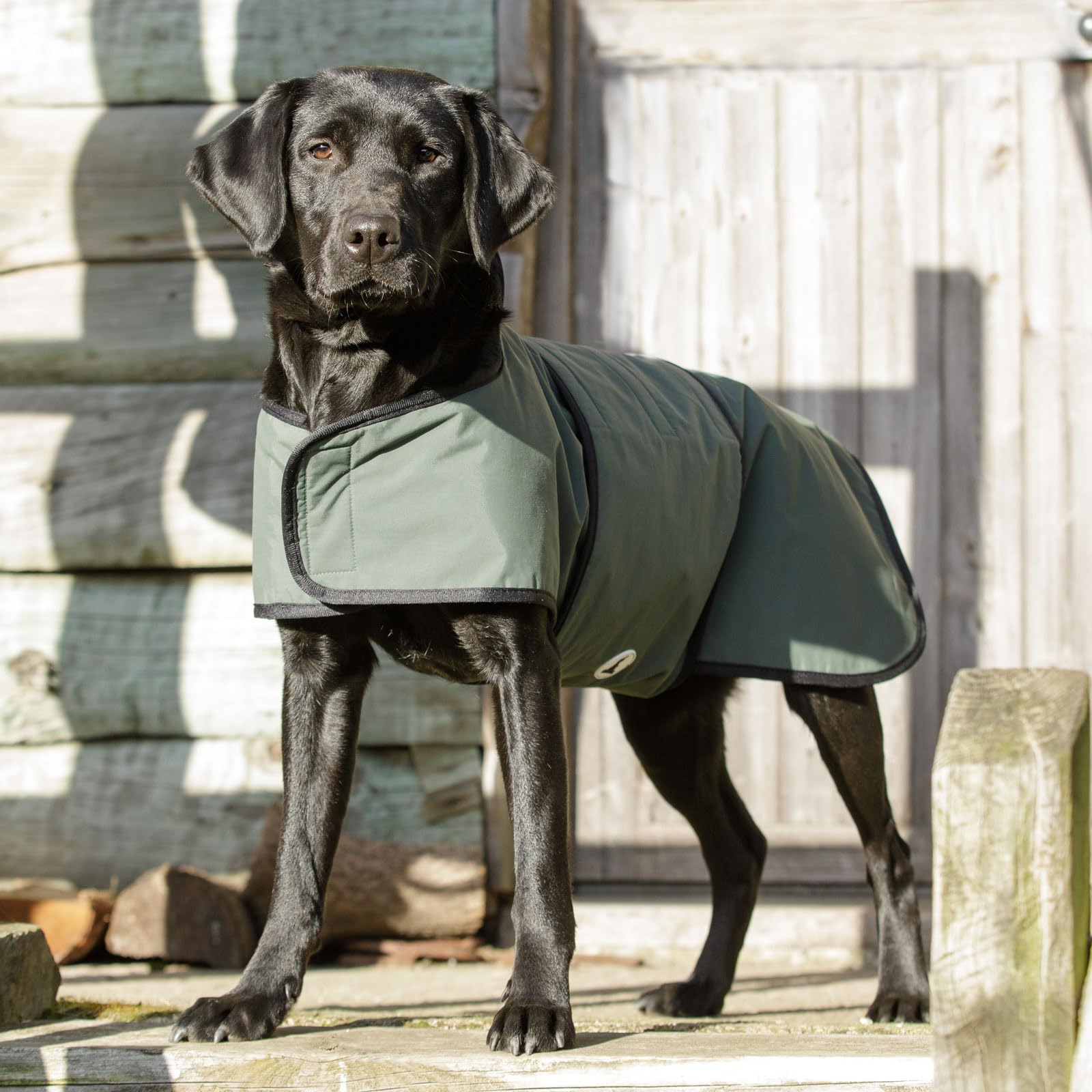 Dog & Field 2 In 1 Waterproof Dog Coat, XXL