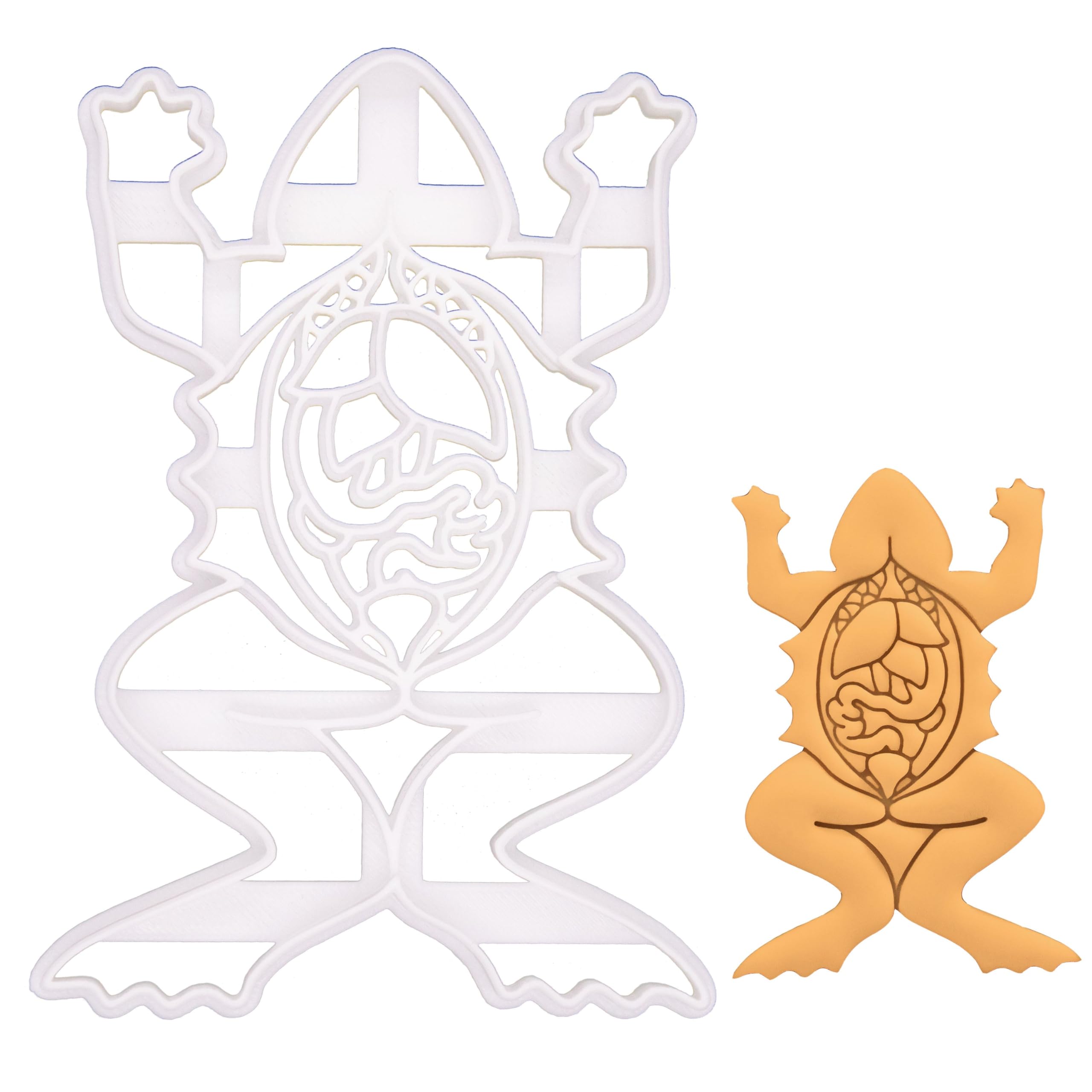 BAKERLOGY Frog Dissection Cookie Cutter - Detailed Biscuit Cutter Design for Baking and Crafts, Ideal on Fondant, Dough, Clay