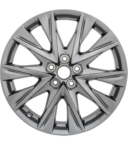 心 Amazon.com: New 19x7.5