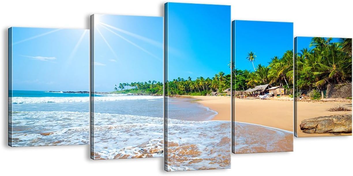 Best living room wall art coral