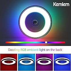 KAMLAM 24" Low Profile Ceiling Fan with