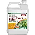 Weed Killer Concentrate - Eco Living Solutions Weed Killer Spray | Pet Safe Weed Killer | Organic Weed and Grass Killer | Moss Killer | Crabgrass & Dandelion Killer | Glyphosate Free Herbicide