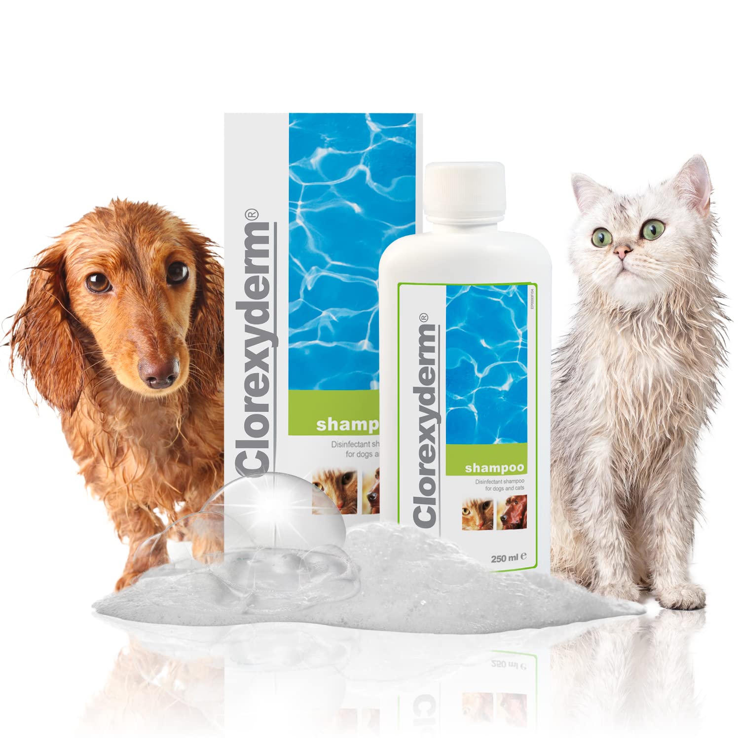 CIF I.C.F. – clorexiderm Shampoo