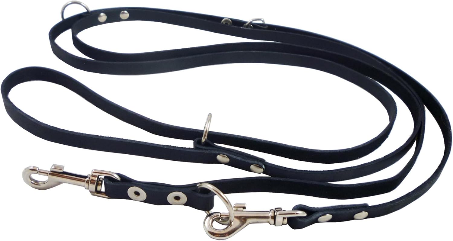 6 way dog leash