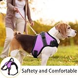 FYY Dog Harness No Pull Breathable Adjustable Reflective Vest M Purple view 2