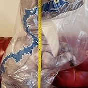 ginormous velociraptor blue