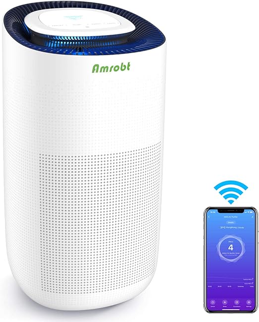 air purifier google home