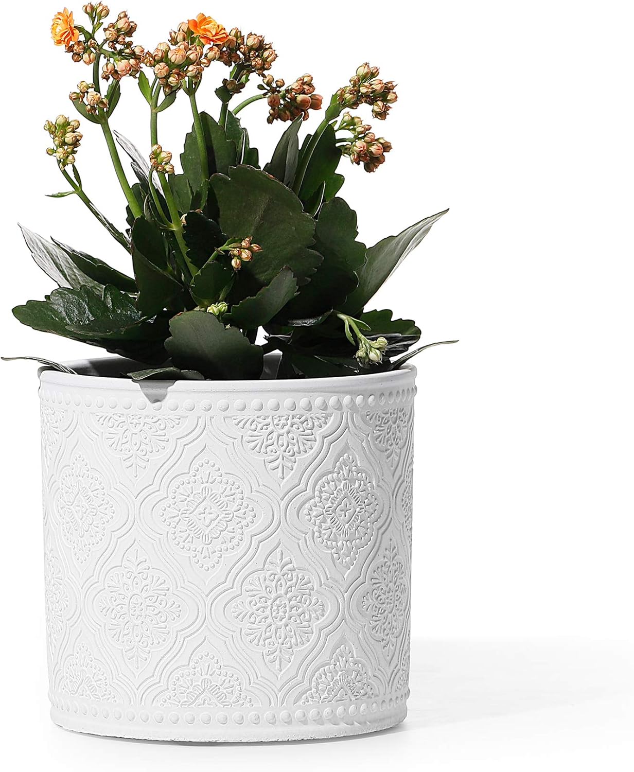 Amazon Com Cement Plant Pot Potey 801 6 Inch Vintage Indoor Planters With Watering Drain Holes For Flowers Succulents Orchid Snake Plant Aloe Modern Home Decor White Garden Outdoor