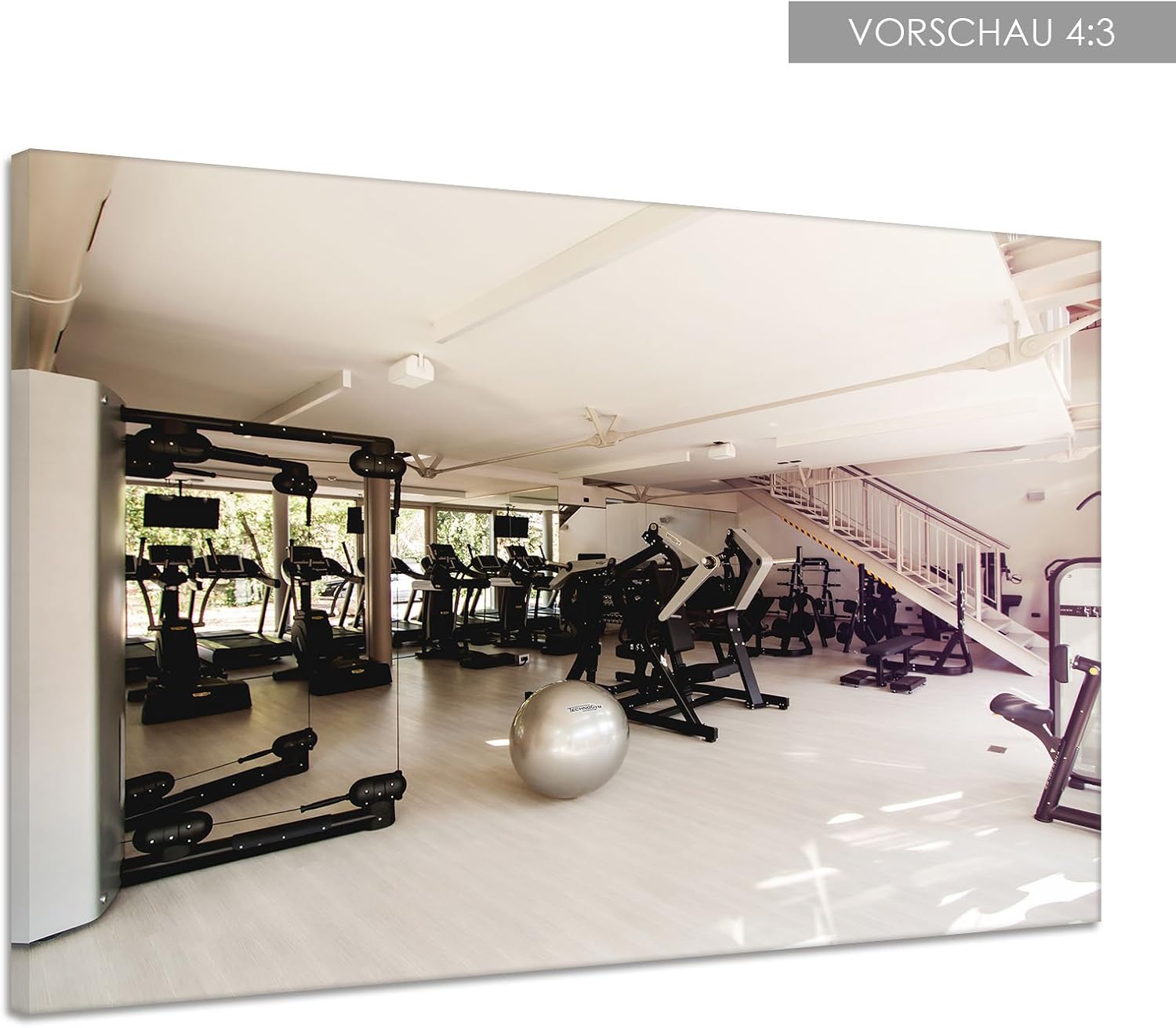 powersport gym equipment