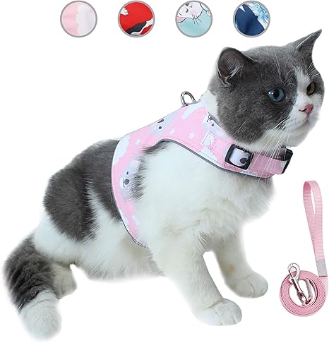 Happy Hachi Ensemble Laisse Et Harnais Pour Chat Anti Evasion Gilet Reflechissant Reglable Pour Animal De Compagnie Espirante En Maille Souple Avec Carte Innovante Anti Perte Xs Rose Amazon Fr Animalerie