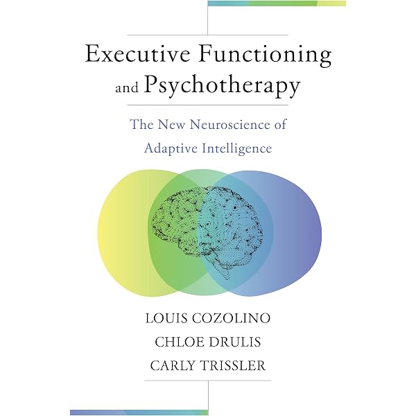 The Neuroscience of Psychotherapy: Healing the Social Brain