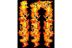 WOHOHOHO 2 Packs Fall Decorations Fall Garland with Lights, 20ft 50 LED Total Lighted String Fall Garland. Autumn Maple Leaves Garland with Light Battery Operated Home Decor Thanksgiving Halloween Christmas