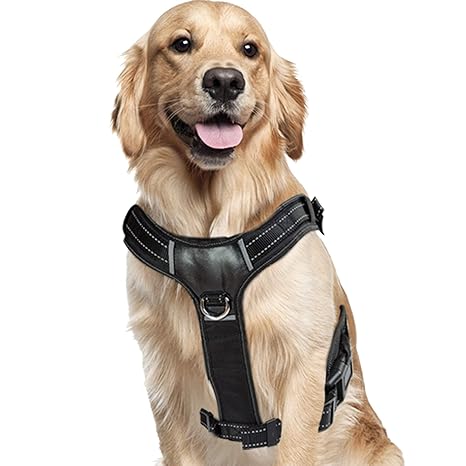 BELISY Gepolstertes Hundegeschirr Reflektierend I Nylon & Kunstleder I Schwarz