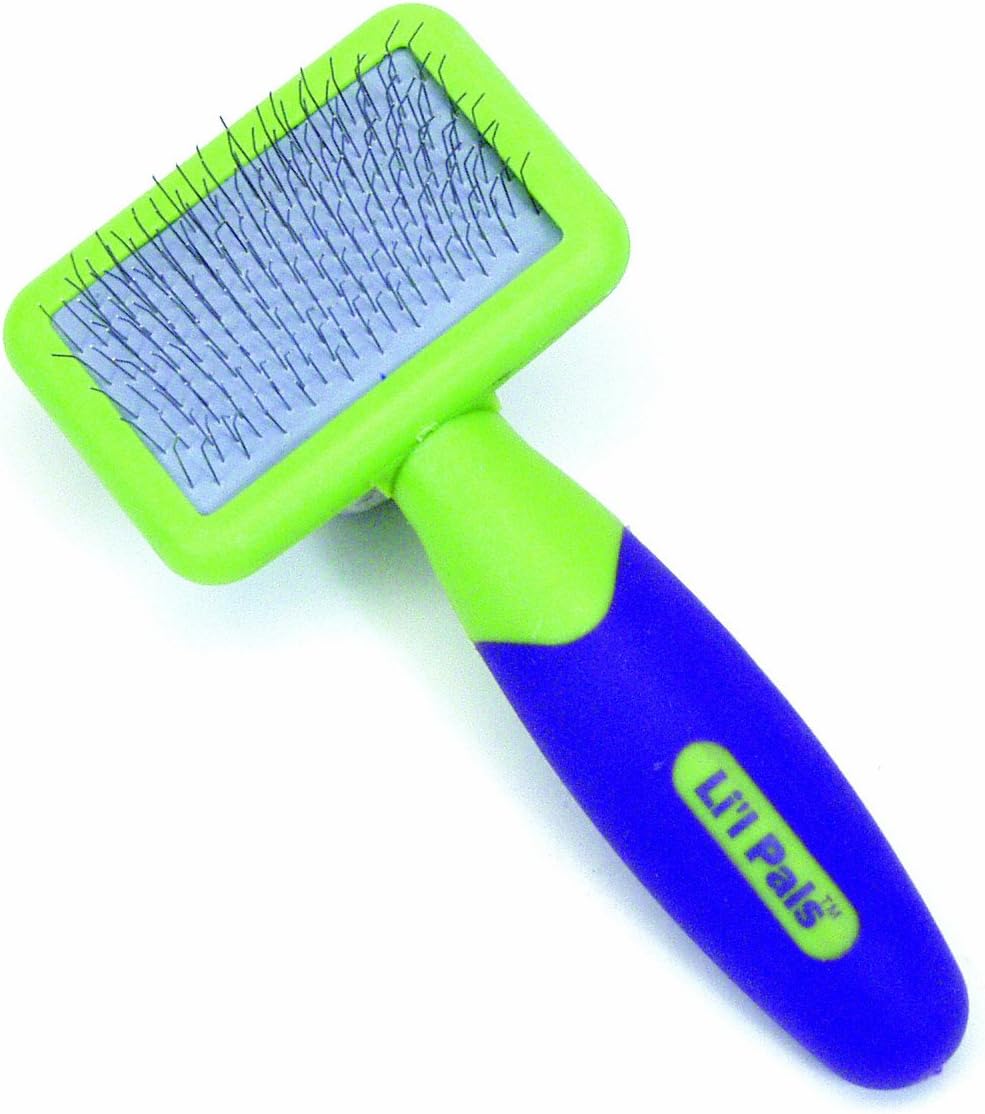 Amazon Com Li L Pals Kitten Slicker Brush With Coated Tips Cat