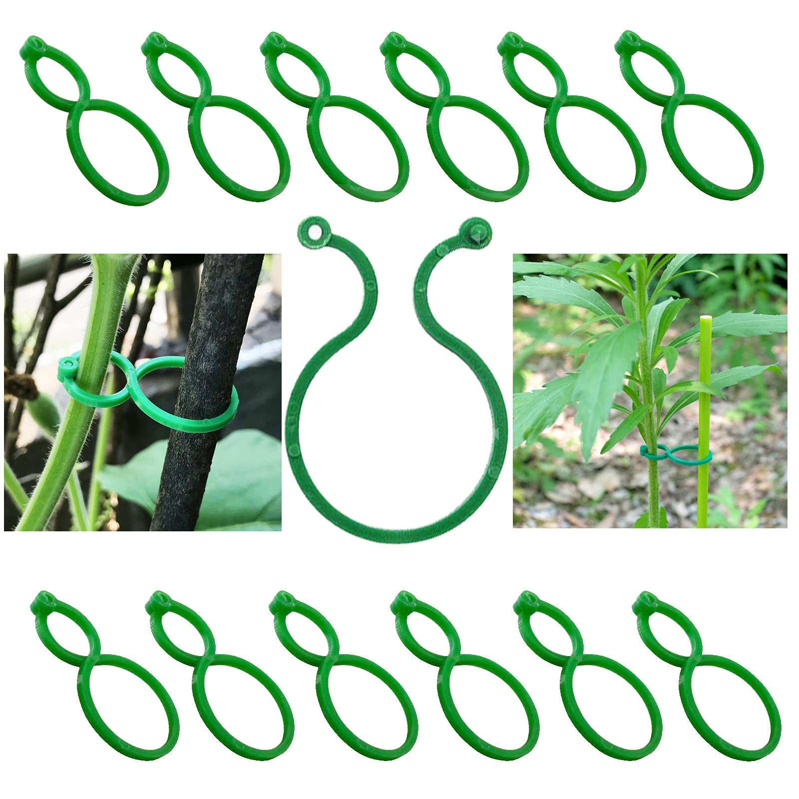 Taasmoog Plant Rings Green Clips, 100Pcs Garden Plant Ties Support Clips Twisty Plant Rings for Securing Vines Stalks Flowers to Grow Upright Plant Support Clips
