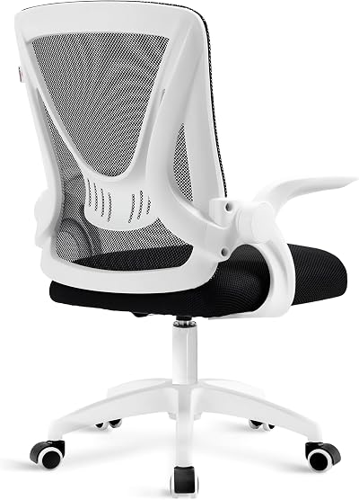 Blisswood Office Mesh Chair with 90° Flip-Up Armrests Ergonomic Lumbar Support