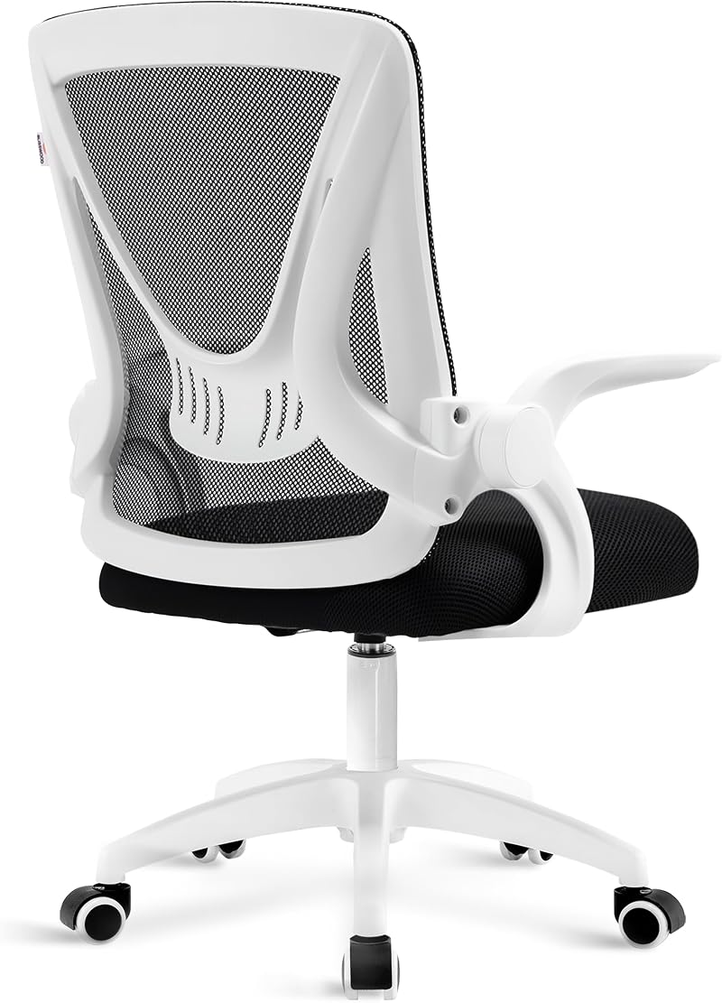 Blisswood Office Mesh Chair with 90° Flip-Up Armrests Ergonomic Lumbar Support