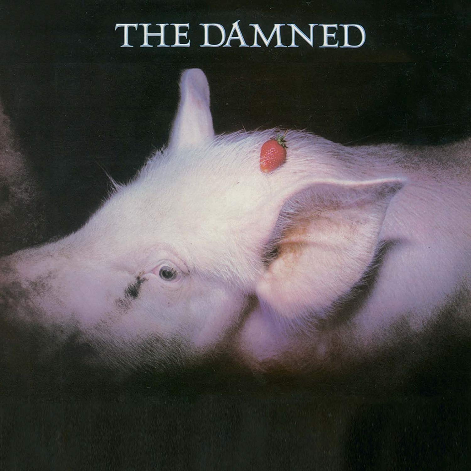 Strawberries [Vinyl LP] the Damned Amazon.de MusikCDs & Vinyl