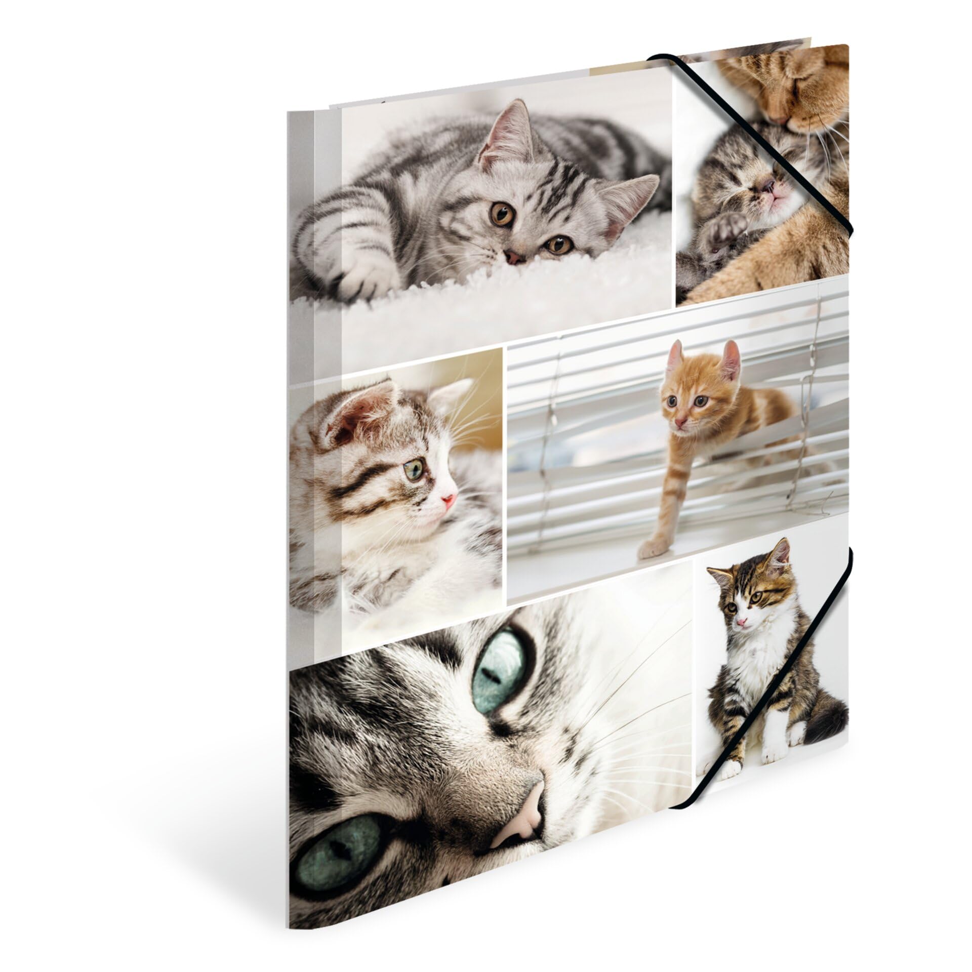 HERMA Elastic Folder Animals with Cats Motif, A4, Sturdy Cardboard, with Inner Print, 1 Span Folder