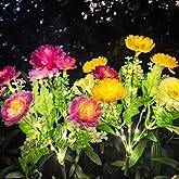Solar Flowers Lights, 2 Pack Solar-Powered Outdoor Light with 14 Blooming Flowers, Waterproof Lights for Outside Yard, Garden, Pathway, Walkway, Patio, Lawn, Cemetery, Grave Decor