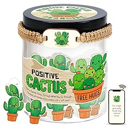 Positive Cactus Jar with 60 Daily Affirmation