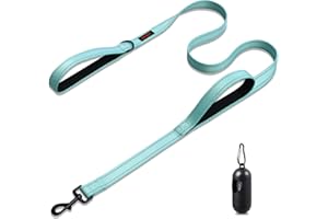 CHENEDY Dog Leash, Heavy Duty Dog Leash, Leashes for Large Breed Dogs, Double Handle Dog Leash, Reflective Training Lead, Perfect for Medium to Large Dogs(6FTLake Blue)