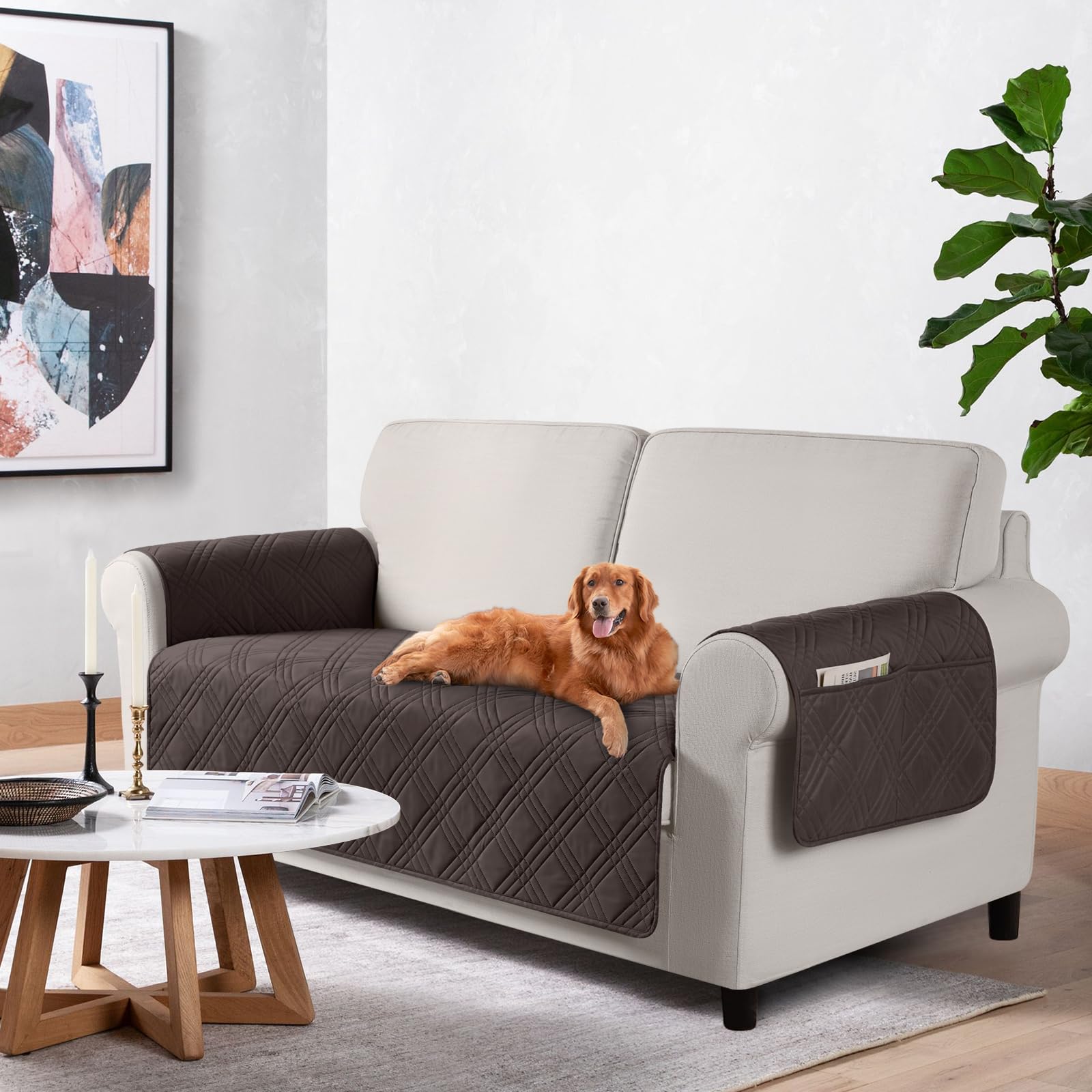 Photo 1 of TAOCOCO Waterproof Loveseat Covers for Pets Dogs with Non Slip Backing, Sofa Seat Covers with Pocket for 2 Cushion Couch Washable Dog Couch Cover Protector Sofa Slipcovers(Loveseat Plus, Chocolate)