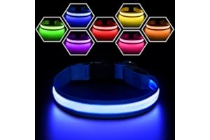 PcEoTllar Light Up Dog Collars, Rechargeable Led Dog Collar with Automatic 7-Color Changes, Water Resistant Lighted Dog Collar for Night Walking with High Visibility, Bright Glow Dog Collar(Blue, M)