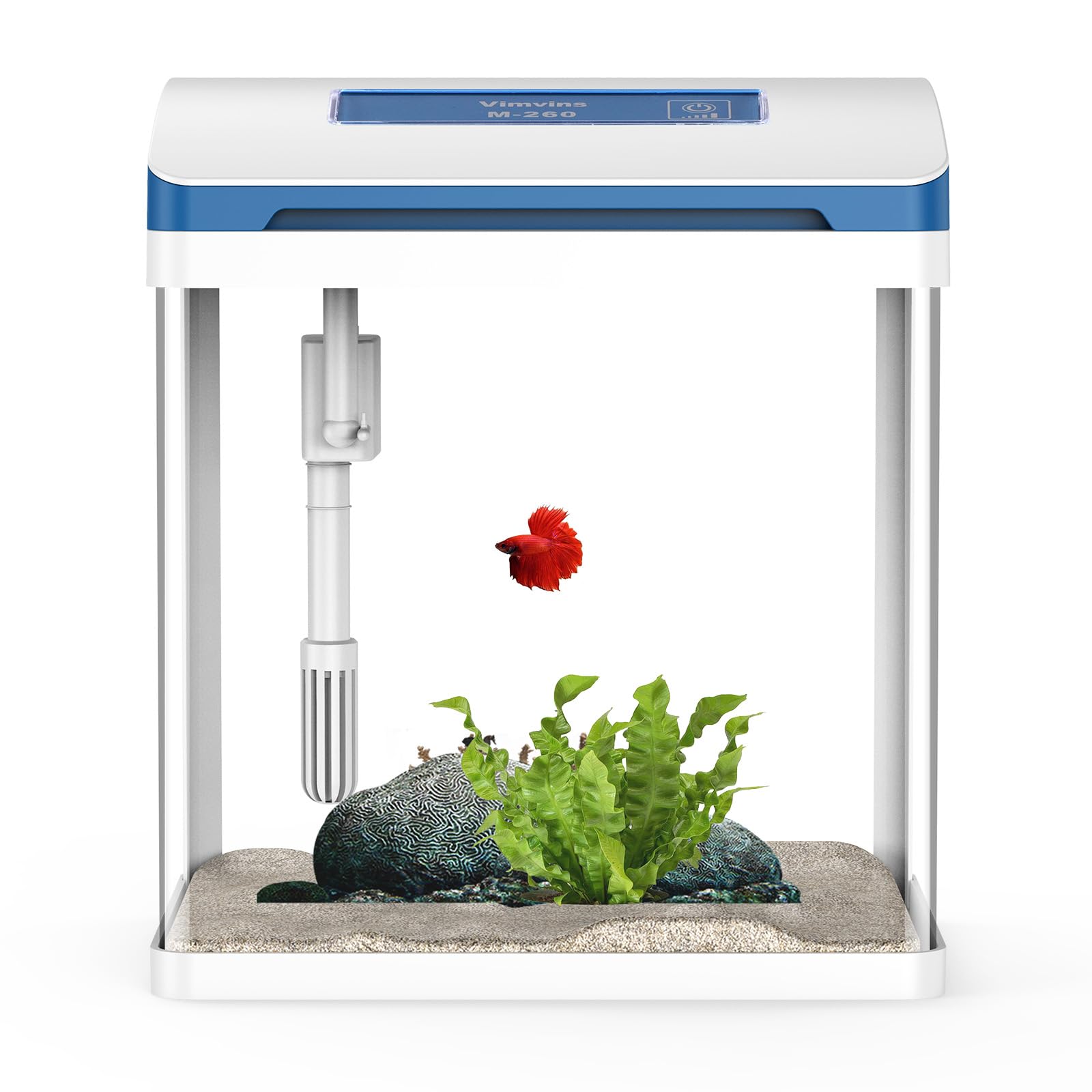 Photo 1 of Small Fish Tank 2 Gallon Glass Aquarium