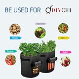 DIVCHI 10 Gallon Potato Grow Bags 2 Pack with Harvest Window & Handles view 7