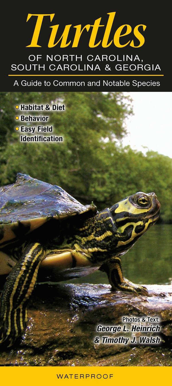 Turtles Of North Carolina South Carolina Georgia A Guide To Common Notable Species Amazon De Heinrich George L Walsh Timothy Fremdsprachige Bucher