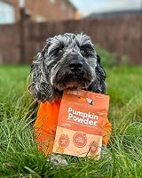 Buddy & Lola 100% Natural Pumpkin Powder for Dogs High Fibre Supplement view 5