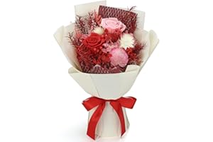 Bloom's Diary Preserved Flowers Bouquet Natural Real Long Lasting Roses and Flowers, Gift Box for Valentine's Day, Mother's Day,Anniversary,Birthday (Red)