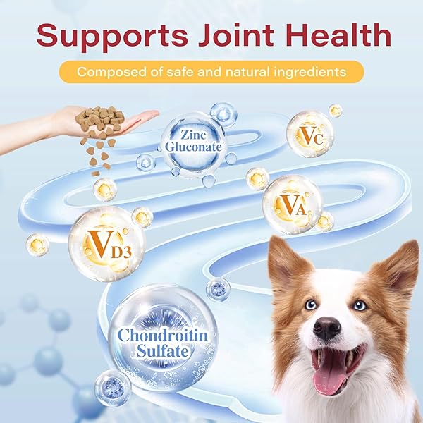 HIP AND JOINT SUPPLEMENT FOR DOGS – 200 CHEWS – CHICKEN FLAVORE – JOINT HEALTH, IMMUNE BOOST, AND VITAMIN SUPPORT FOR DOGS AND CATS OF ALL AGES
