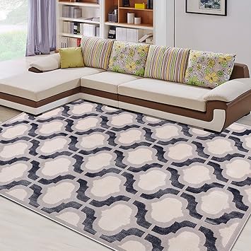 Jiejingmi Dekorative Teppiche Xiandai Carpe Simple Living Room