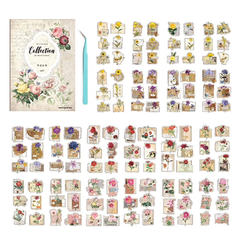 Alideco Scrapbook Stickers Sets Vintage Transparent Celestial Planet Moon Aesthetic Adults Scrapbooking Supplies Stickers for journaling tweezer 20Sheets/165Pcs (fanhuabiaoben)