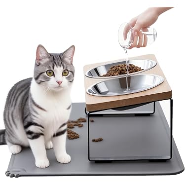 Amazon Best Sellers: Best Raised Cat Bowls