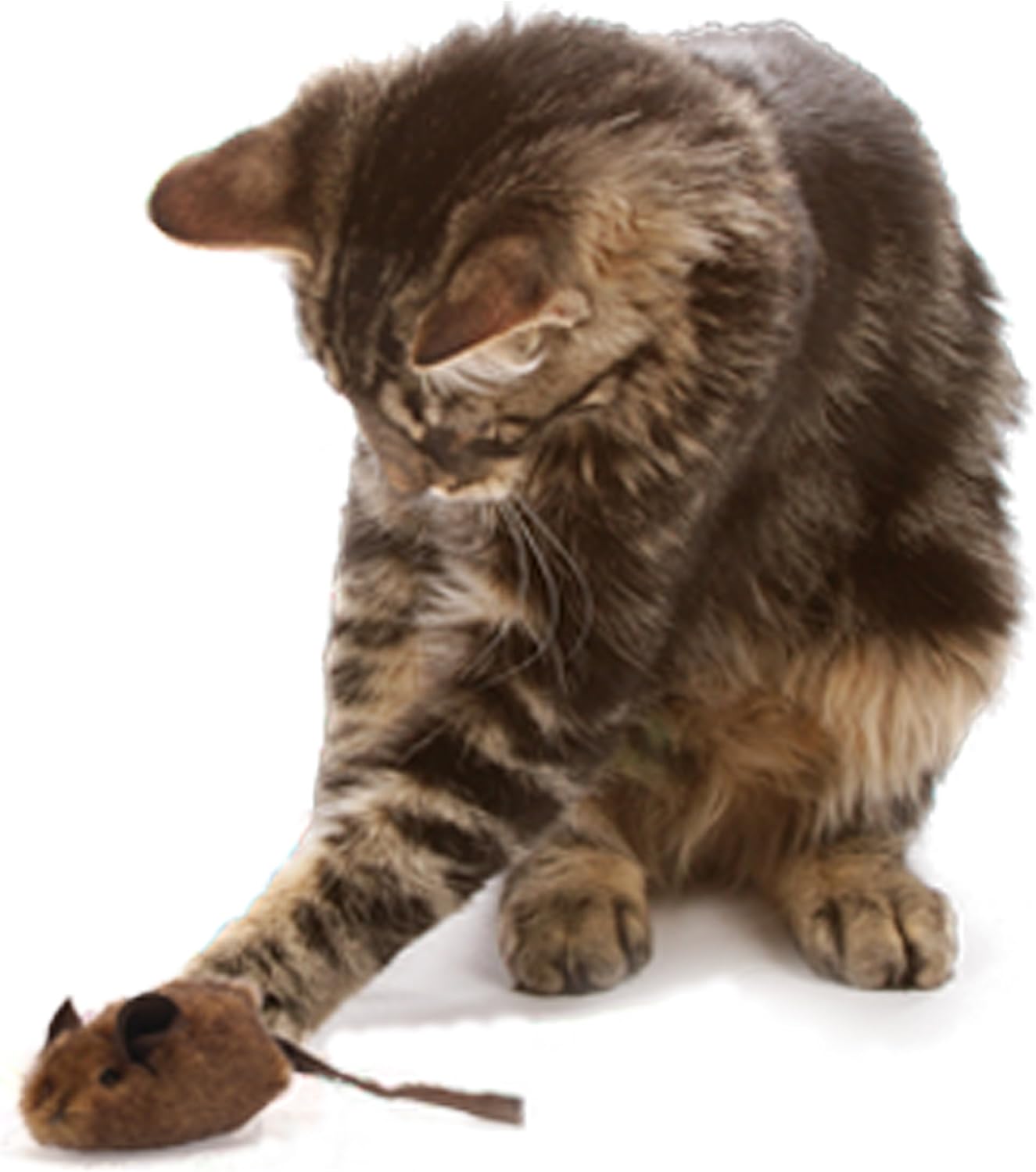 OurPets Play-N-Squeak Mouse Hunter Cat Toy (Interactive Cat Toy & Catnip Toy with Real Mouse Electronic Sound Catnip Toys for Cats) Perfect Cat Toys for Indoor Cats with Catnip) : Pet Mice And Animal Toys : Pet Supplies