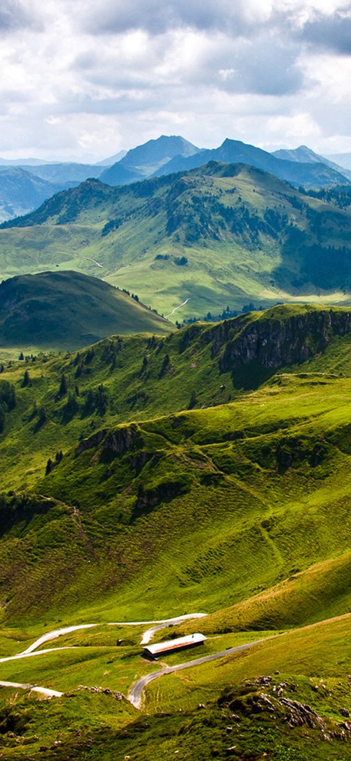 PeelitStickit, Beautiful Nature Wall Murals, ID-0789, vinyl