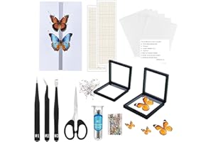 DDDZERONG Making Butterfly specimens kit, Butterfly Specimen Tool for Classroom Teaching, Wing Stand with EVA, Insect Nail, Insect Display Cabinet, Scissors, Tweezers, Beginner use